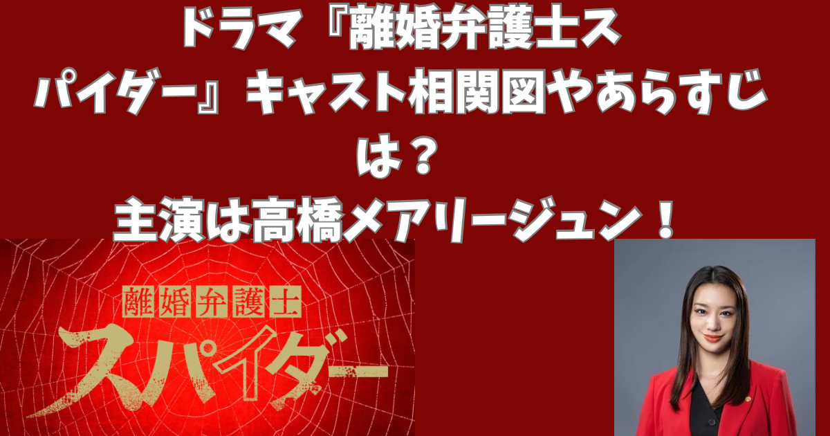 ドラマ『離婚弁護士スパイダー』キャスト相関図やあらすじは？主演は高橋メアリージュン！